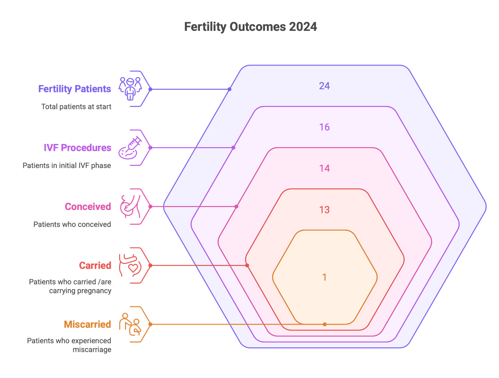 Reflecting on a Fertility-Focused Year, 2024