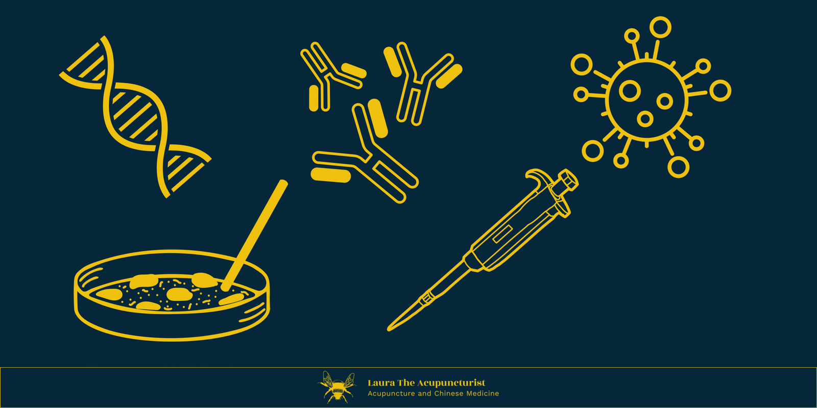 Reproductive Immunology: What Is It?