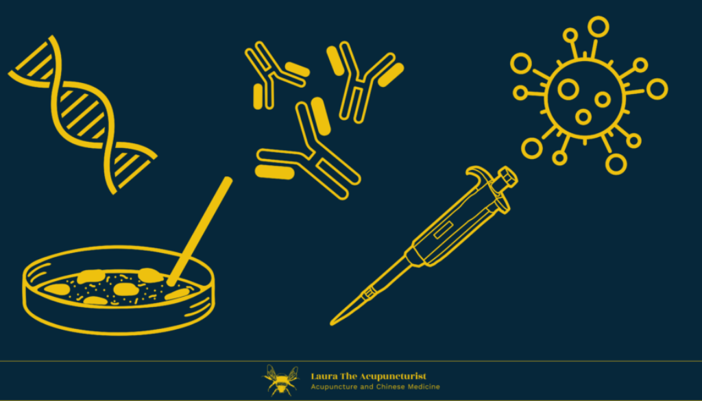 Reproductive Immunology