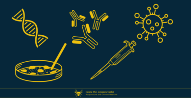 Reproductive Immunology