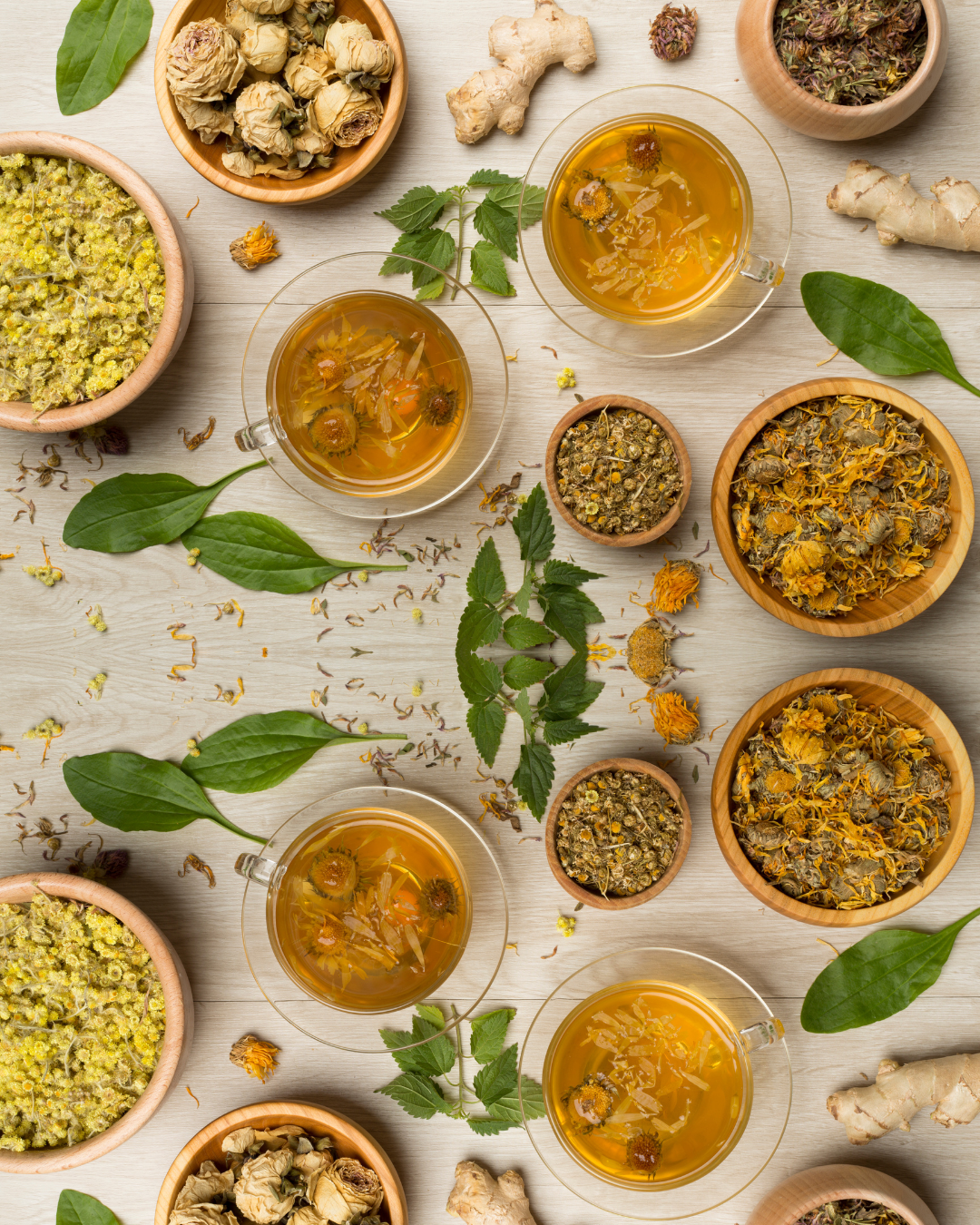 Warming Herbal Medicinals