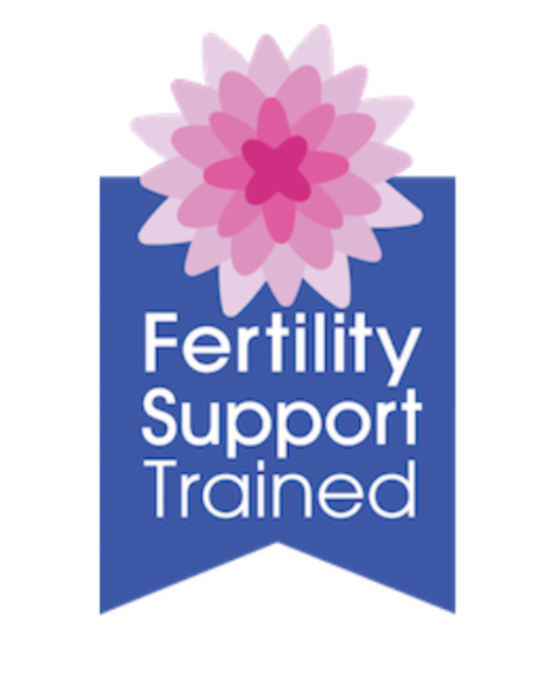 FST Logo